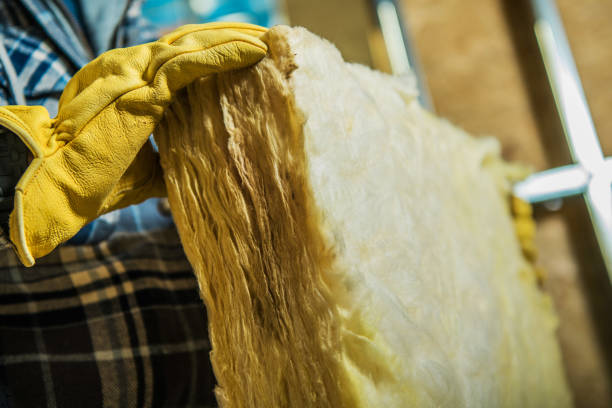 Best Specialized Insulation Services in Silver Firs, WA