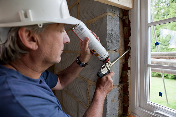 Best Insulation Maintenance and Repair in Silver Firs, WA