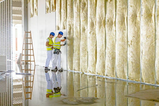 Types of Insulation We Offer in Silver Firs, WA